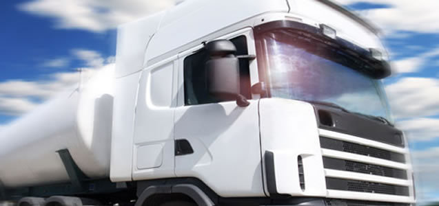 Paelina Insurance Brokers 4